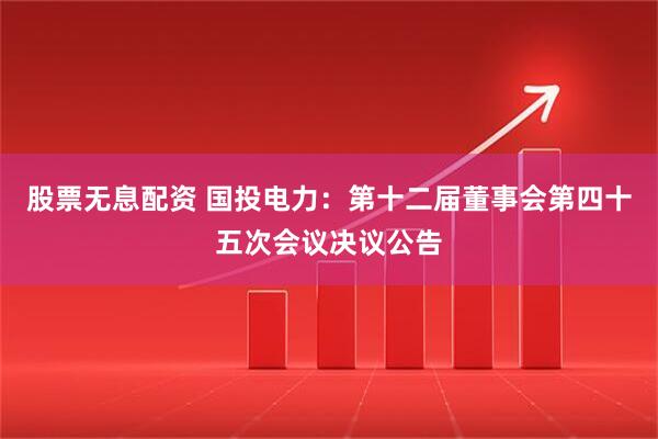 股票无息配资 国投电力：第十二届董事会第四十五次会议决议公告