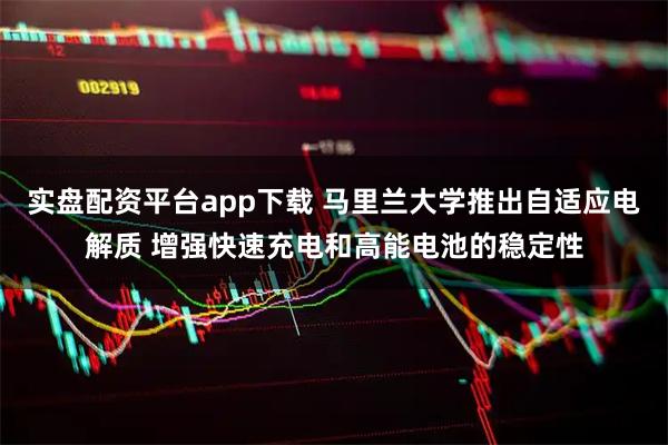 实盘配资平台app下载 马里兰大学推出自适应电解质 增强快速充电和高能电池的稳定性
